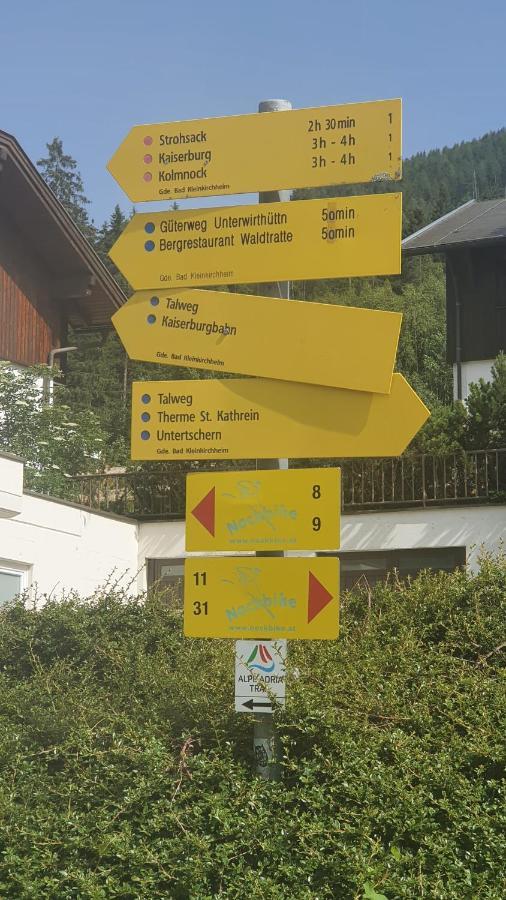 Deluxe Panorama Apartment-Maibrunn-Alm Bad Kleinkirchheim Exteriér fotografie