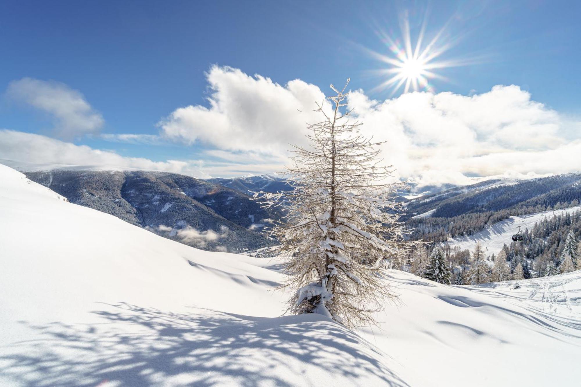 Deluxe Panorama Apartment-Maibrunn-Alm Bad Kleinkirchheim Exteriér fotografie