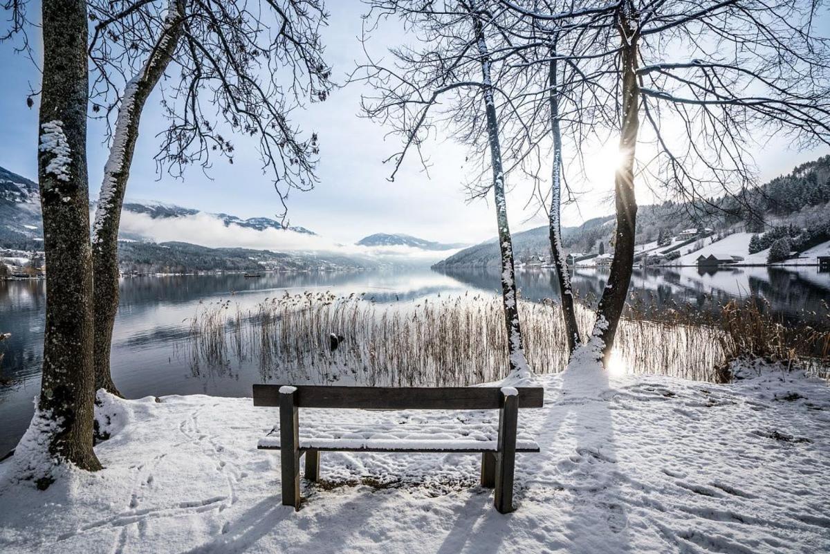 Deluxe Panorama Apartment-Maibrunn-Alm Bad Kleinkirchheim Exteriér fotografie