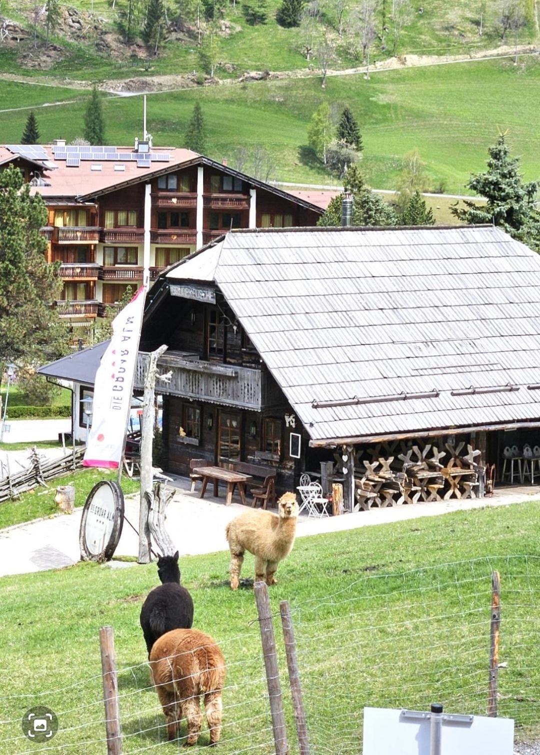 Deluxe Panorama Apartment-Maibrunn-Alm Bad Kleinkirchheim Exteriér fotografie